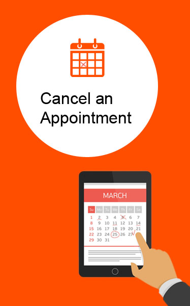 BLS Brazil in Lebanon Cancel an Appointment